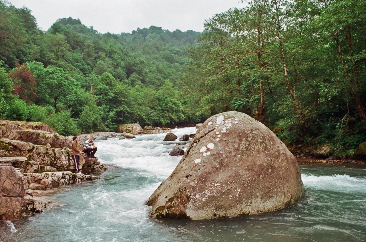 Кемпинги Dumbo Eco Camp Ozurgetʼi-19